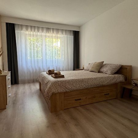 Lareina Apartament Cluj-Napoca Buitenkant foto